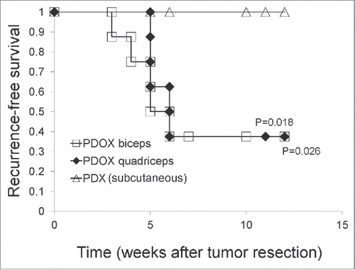 Figure 3. Recurrence-free survival of rhabdomyosarcoma PDOX and subcutaneous tumors after surgical resection. Recurrence-free survival was significantly shorter in the PDOX biceps-femoris muscle (G2) (p = 0.018); and quadriceps-femoris muscle (G3) (p = 0.026) compared to mice with subcutaneous tumors (G1).