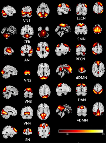 Figure 1 The typical spatial patterns in each RSN of both PD and HC groups, including, VN1, CER, AN, VN2, VN3, VN4, LECN, SMN, RECN, dDMN, DAN, vDMN, SN. scale represents T values with a range of 1~6.9 in each RSN (p < 0.001, FDR corrected).