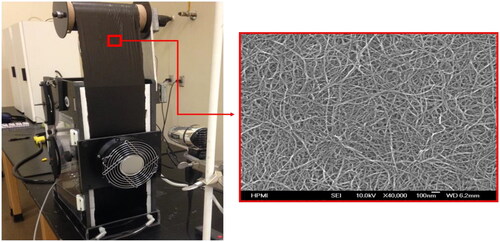 Figure 1. Continuous roll of carbon nanotube buckypaper with high magnification of microscopy image of CNT network structure.