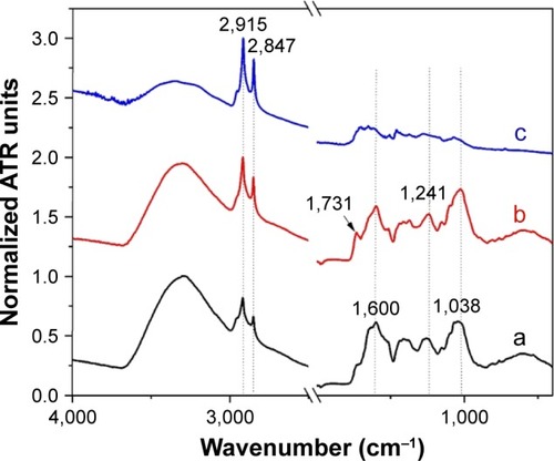 Figure 5 FTIR-ATR spectra of dry OH extract (a), dry OF extract (b) and dry 1 mL OH AuNPs (c).Notes: The spectra were normalized to the maximum ATR intensity and were offset for clarity. The arrow indicates the position of the most distinct band, which can be found only in the case of OH extract.Abbreviations: ATR, attenuated total reflectance; FTIR, Fourier transform infrared; OH, Origanum herba; OF, Origanum folium; AuNP, gold nanoparticle.