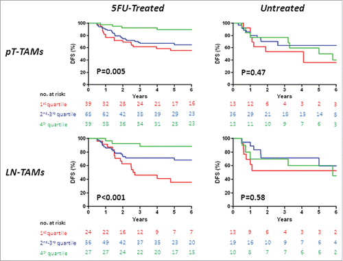 Figure 1. Disease-free survival (DFS) in stage III colorectal cancer, by TAM-density quartiles. Kaplan-Meier Curves. Patients were stratified by quartile distribution of TAMs densities at the invasive front of their primary tumor (PT-TAMs, upper panels) or of metastatic lymph-nodes (LN-TAMs, lower panels). Higher densities of both PT-TAMs and LN-TAMs were significantly associated with better disease-free survival in patients treated with 5-fluorouracil (left panels), but not in the subset of untreated patients (right panels). Also higher densities of tumor-associated neutrophils (PT-TANs) were weakly associated with the survival of 5-fluorouracil -treated patients (see Fig. S1). P values are for Log-Rank test.