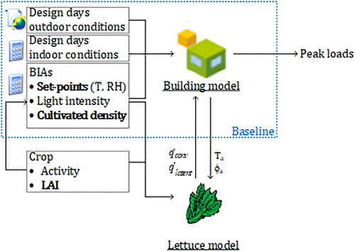 Fig. 2. Overview of the modeling approach.