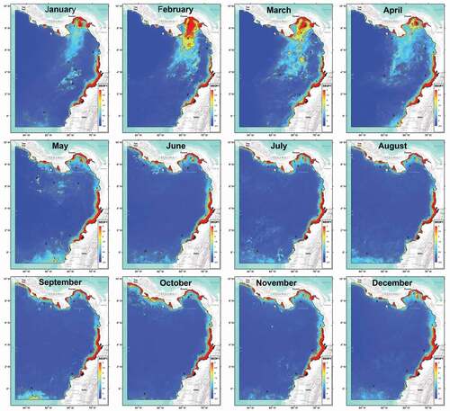 Figure 9. Climatology of the first standardized empirical orthogonal function (SEOF1), generated from the Chlorophyll-a (Chl-a) of the MODIS-Aqua sensor (2002–2019).