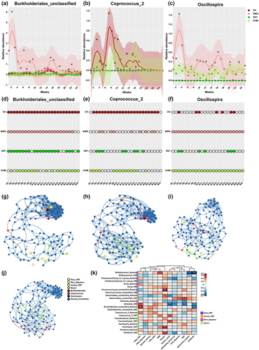 Figure 6. The relative abundance fluctuation of (a) Burkholderiales_unclassified, (b) Coprococcus_2, (c) Oscillospira for the four donors. The presence or absence of (d) Burkholderiales_unclassified, (e) Coprococcus_2, and (f) Oscillospira in the four donors. Co-occurrence network of microbes in (g) rCDI patients with poor FMT prognosis, (h) low-effectiveness FMT donors, (i) rCDI patients with good FMT prognosis, and (j) high-effectiveness FMT donors. (k) Spearman correlation between the relative abundance of 11 characteristic genera in rCDI patients before and after treatment and the clinical factors of the patients. * indicates p-value <0.05. ** indicates p-value <0.01.