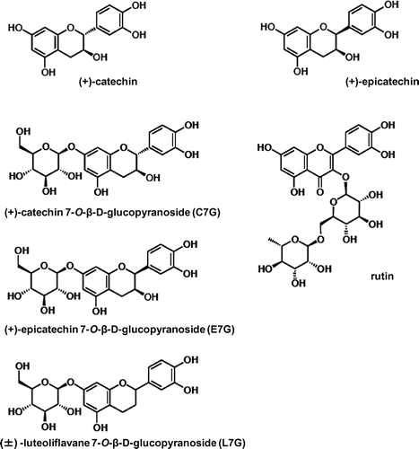 Fig. 7. Structures of the flavonoids isolated from EtEx.40.