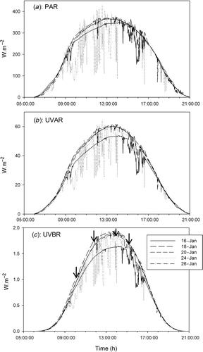 Fig. 2. Incident photosynthetically active radiation (PAR) (a), ultraviolet A radiation (UVAR) (b), and ultraviolet B radiation (UVBR) (c) during the experimental days.