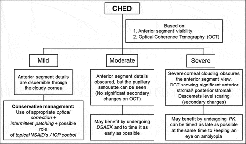 Figure 5. Flowchart of proposed algorithm for congenital hereditary endothelial dystrophy.