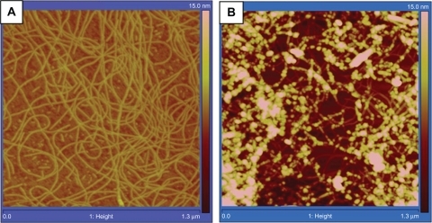 Figure 2 Tapping mode AFM height profiles of (A) RNTs and (B) RNT-encapsulated DEX. Average heights measured for RNTs and RNT-DEX complexes were 2.91 ± 0.95 nm and 7.04 ± 0.33 nm, respectively.Abbreviations: AFM, Atomic force microscopy; RNT, rosette nanotubes; DEX, dexamethasone.