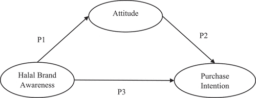 Figure 1. Conceptual Framework.