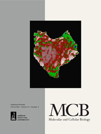 Cover image for Molecular and Cellular Biology, Volume 41, Issue 3, 2021