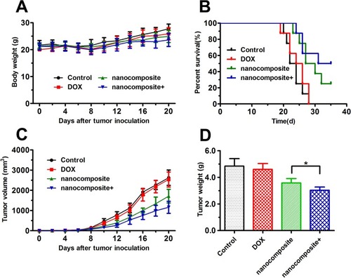 Figure 9 Antitumor experiments in vivo.Notes: (A) The body weight changes of BALB/c nude mice during the therapeutic period. (B) Survival rate of MCF-7/ADR tumor-bearing BALB/c nude mice. (C) The tumor volume evolution of mice in different groups during the therapeutic period. (D) The weight of the excised tumor tissues from all groups. The data are expressed as the mean ± SD (n = 8). *P < 0.05.Abbreviations: DOX, doxorubicin hydrochloride; MMSN, magnetic mesoporous silica nanoparticle; NIB, neodymium, iron and boron magnet.