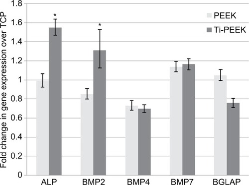 Figure 5 Fold change in gene expression of bone formation markers (normalized to GAPDH) over TCP control (calibrator =1) in osteoblast-like cells cultured on Ti-PEEK and PEEK surfaces.