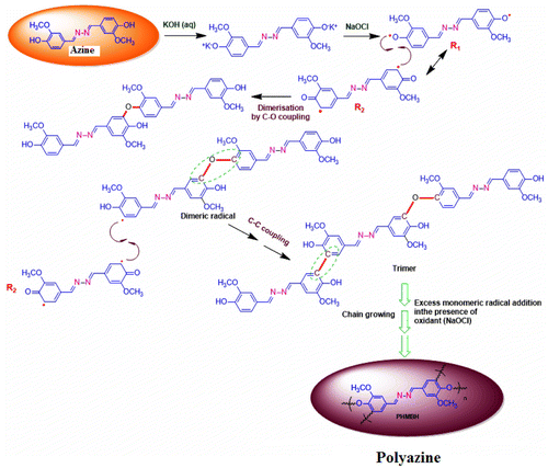 Scheme 3. The reaction mechanism and combinations of phenylene (C–C) and oxyphenylene (C–O–C) units.