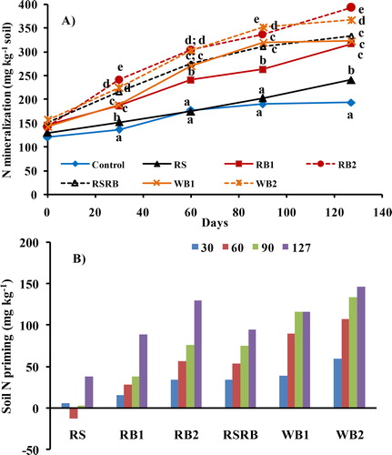 Figure 3. Temporal trends of A) N mineralization and B) N priming in soils amended with rice straw (RS), rice straw biochar (RB1 and RB2), RS and RB mixture (RSRB) and wood biochar (WB1 and WB2) during 127 days of incubation. At a given time, markers followed by different letters differ significantly (p < 0.05) by Duncan’s Multiple Range test.