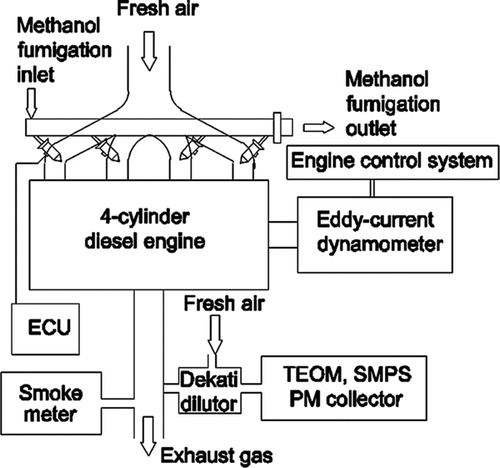 FIG. 1 Schematic of the experimental setup.