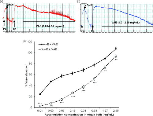 Figure 2. Original isometric force recordings showing the contraction evoked by PE in endothelium-intact (a) and endothelium-denuded (b) rat aortic rings treated with various concentrations of VAE. Effect of VAE on PE-induced contraction in endothelium-intact aortic rings and endothelium-denuded aortic rings (n = 8) (c). *, **, and *** indicate significance at p < 0.05, p < 0.01, and p < 0.001, respectively, compared to the group of endothelium-intact aortic rings.