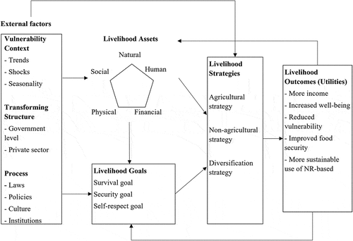 Figure 1. A framework of the sustainable livelihood approach.