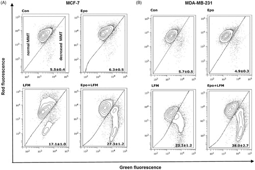 Figure 2. Representative dot-plots presenting the loss of mitochondrial membrane potential (MMP) in MCF-7 (A), and MDA-MB-231 (B) cells incubated with Epo (Epo100, 100 IU/ml) and LFM-A13 (LFM100, 100 μM) for 48 h (mean ± SD; n = 3). Cells with normal MMT are shown on the left side of the plots, cells with decreased MMT on the right side of the plots.