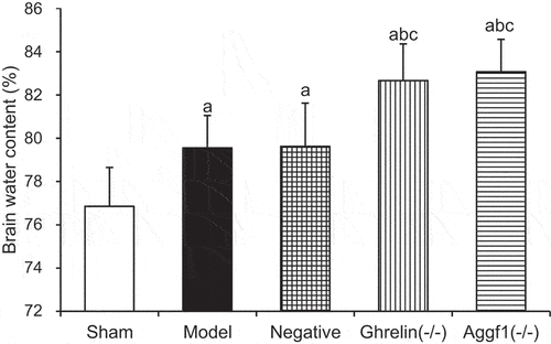 Figure 3. Comparison of rat cerebral water contents in each group. (The comparison with sham group indicated aP < 0.05, the comparison with model group showed bP < 0.05, and the comparison with negative group revealed that cP < 0.05).