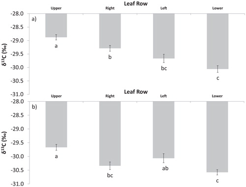 FIGURE 5. Average δ13C values for each of the four leaf rows for two C. tetragona branches. Different letters under each bar (a, b, and c) indicate, separately for each branch, significant differences (p < 0.01) between δ13C values averaged per row. The error bars represent the standard error of the mean. Leaves from the upper leaf rows were pointed towards the sky, receiving direct sunlight. The lower leaf rows were pointed towards the soil.