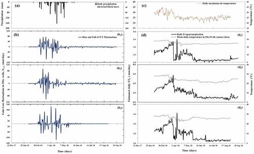 Figure 14. Seasonal variations of water-table exchange fluxes in SD aquifers: (a) rainfall pattern, (b) water gain and loss fluxes; (c) maximum daily air temperature; (d) mean temperature and evaporation losses in observation wells S1, S2 and S3.