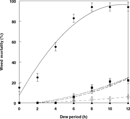 Figure 2. Effect of dew period duration at 25 °C on mortality of velvetleaf inoculated with F. lateritium at 1.5 × 106 conidia ml−1 and 2,4-DB under greenhouse conditions. The relationship for these components is best described by the following equations: FL (open circle, short dash), Y =  – 0.33 + 0.18X + 0.03X2, R2 = 0.96; 2,4-DB (open triangle, long dash), Y =  – 0.93 + 0.24X + 0.16X2, R2 = 0.96; FL + 2,4-DB (open inverted triangle, small dots), Y =  – 1.29 + 0.43X + 0.14X2, R2 = 0.96; FL fb 2,4-DB (solid square, long dash + small dots), Y = −1.60 + 0.73X – 0.12X2, R2 = 0.97; 2,4-DB fb FL (solid sphere, solid line), Y = 7.43 + 15.75 - 0.70X2, R2 = 0.96. Control values (solid triangle). Error bars represent ± 1 SEM.