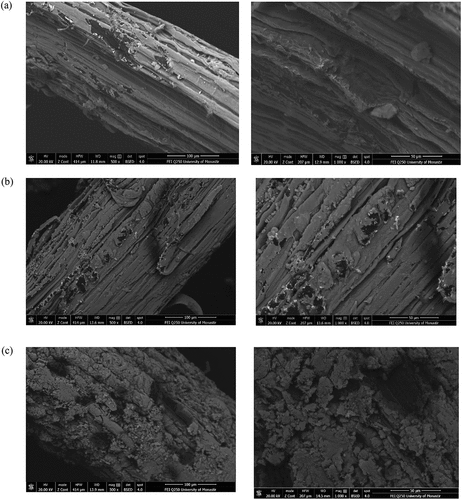 Figure 7. SEM of AAFs treated with NaOH (a) untreated one, (b) 4.2%, and (c)9.8%: left 100 µm and right 50 µm.