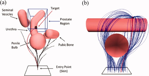 Figure 8. Patil’s improved RRT algorithm. (a) Front view; (b) Side view.