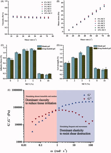 Figure 3. Effect of various MCT amounts on viscosity (A) and shear stress (B) of the 25% MTZ-loaded LLC precursors at various shear rates, 25 ± 0.5 °C. Effect of various MCT amounts and incorporation of MTZ on adhesive force (C) and gel strength (D) of the MTZ-loaded LLC gels evaluated by a texture analyzer at 37 ± 0.5 °C. Effect of changing angular velocity (simulating motion frequency of oral cavity) on the storage modulus G′ and the loss modulus G″ (E) of the MTZ-loaded LLC gel examined by a rotational rheometer at 37 ± 0.5 °C. All test was conducted in triplicate.