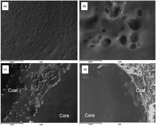 Figure 7. Scanning electron micrograph of D10 (a and b) and T7 (c and d) before (a and c) and after (b and d) drug release.