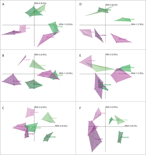 Figure 4. Graphical representations (distance plots) of the redundancy analysis (RDA) models of Hellinger-transformed OTU abundances. Models illustrate the relationships between luminal (magenta) and mucosal (green) samples at different treatment status A (dark) through C (light) at the DNA (A–C) and RNA (D–F) level, controlling for variance between subjects. The three-dimensional models are depicted in 2-dimensional space showing the planes spread out by RDA axes 1 and 2 (A, D), 1 and 3 (B, E), and 2 and 3 (C, F), respectively.