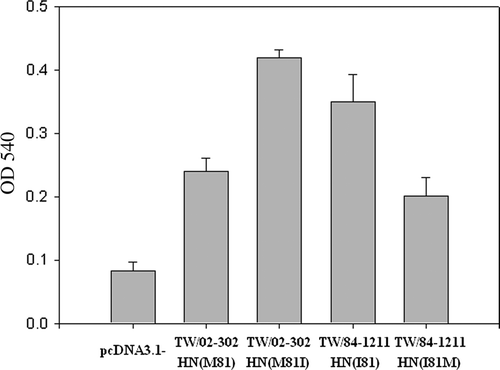 Figure 3.  Haemadsorption activity of HN mutants was determined at 4°C by the ability of the expressed protein to adsorb chicken red blood cells. Two mutants, including TW/02-302 HN M81I and TW/84-1211 HN I81M created from NDV TW/02-302 HN M81 and TW/84-1211 HN I81 strains, are shown. The HN mutants (TW/02-302 HN M81I and TW/84-1211 HN I81M) showed significantly increased or reduced haemadsorption activity (P<0.05) when compared with TW/02-302 HN M81 and TW/84-1211 HN I81 strains. Haemadsorption activity was quantitated by measurement of the absorbance at 540 nm minus the background obtained with cells expressing the vector alone. The results shown represent the means of three independent experiments. Error bars represent the mean±standard deviation.