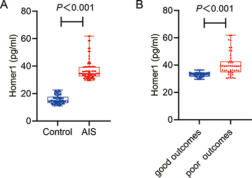 Figure 2 (A) Boxplots of Homer1 levels between AIS and control groups. (B) Boxplots of Homer1 levels for AIS patients with good and poor outcomes. Box=median + IQR; whisker=minimum to maximum.