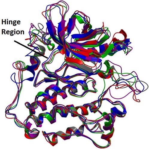 Figure 3 Conformational difference of hinge and loops with reference (black), green (7a), marron (7b), red (7e), and blue (7m).
