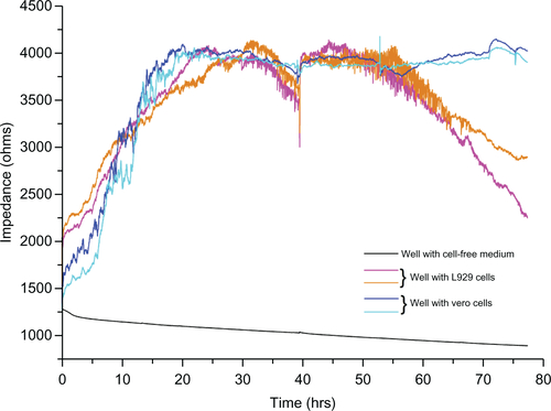 Figure S2 The whole experiment was repeated thrice and here are the results obtained for two experiments with L929, vero cell, and cell-free medium on a ECIS system.Note: These results show the consistency of L929 cellular oscillation.Abbreviation: ECIS, electric cell-substrate impedance-sensing system.