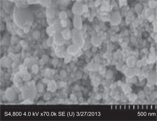 Figure 1 Image of nickel nanoparticles captured by scanning electron microscopy.