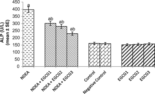 Figure 4. Alkaline phosphatase (ALP) activity measured after 21 days of treatment of N-nitrosodiethylamine separately and along with different doses of epigallocatechin gallate in rats.