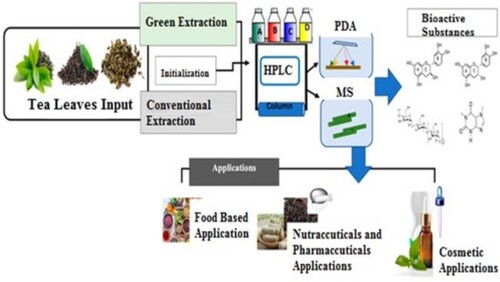 Figure 2. Solvent production and raw material extraction process.