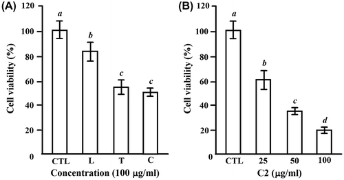 Fig. 1. The inhibitory effects of the extracts of loquat leaves and loquat tea on cell proliferation of HL-60 cells.Notes: (A) The cells (1.5 × 104 cells/100 μL/well) were seeded into 96-well plates for 24 h, and then treated with 100 μg/mL of the loquat leaves water extract (L), loquat tea water extract (T), and C fraction separated from T by MCI gel with 50% EtOH (C) for another 24 h. (B) The cells were treated for 24 h with 25–100 μg/mL of C2 fraction, which was separated from C fraction by ODS gel with 20% MeOH. CTL cells were used as control cells without any treatment. MTT was added into medium for an additional 4 h. The survival of cells was detected by measuring the absorbance at a wavelength of 595 nm. The survival rate was expressed as the optical density ratio of the treatment to control. Each value represents the mean ± S.D. of triplicate cultures. Means with differently lettered superscripts differ significantly at the probability of p < 0.05.