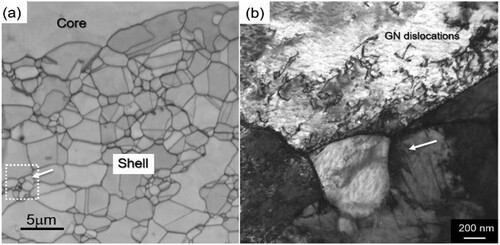 Figure 7. An EBSD and a TEM images showing the microstructure after tensile deformation of pure Ni harmonic material by 5%.