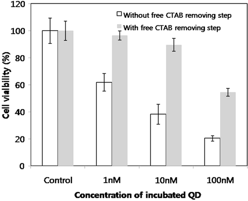 Figure 2. Cell viability data of CTAB QDs obtained from cultured HeLa cells using the standard MTT colorimetric assay.