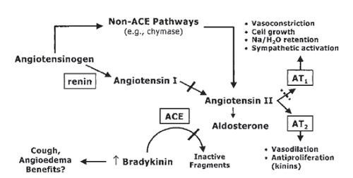 Figure 1 The renin angiotensin aldosterone system. Reproduced with permission from McMurray JJ, Pfeffer MA, Swedberg K, et al. 2004. Which inhibitor of the renin-angiotensin system should be used in chronic heart failure and acute myocardial infarction? Circulation, 110:3281–8. Copyright © 2004. Massachusetts Medical Society. All rights reserved.
