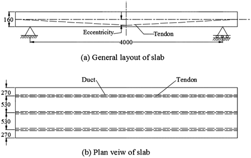 Figure 6. Dimensions of BPT slab (mm).