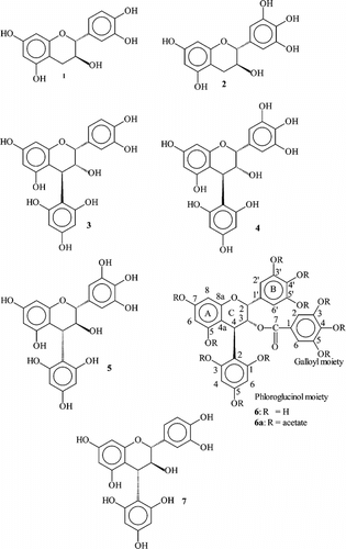 Figure 1 Flavan-3-ols and phloroglucinol cleavage products