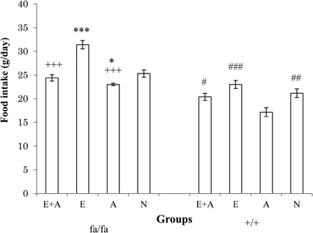 Figure 3. Comparison of food intake between the four groups of obese (fa/fa) and control (+/+) Zucker rats. ***P < 0.001, *P < 0.05 significant difference compared with the N group of obese rats. +++P < 0.001 significant difference compared with the E group of obese rats. ###P < 0.001, ##P < 0.01, #P < 0.05 significant difference compared with the A group of control rats. E, exercise; A, L-arginine; E + A, exercise + arginine; N, non-exercise and non-L-arginine.