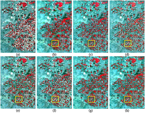 Figure 7. Predicted results of the compared methods for the CIA data on February 13, 2002. (a) Observed Landsat image on January 12, 2002. (b) Observed MODIS image on February 13, 2002. (c) Observed Landsat image on February 13, 2002, i.e. Ground Truth . (d) STARFM. (e) FSDAF. (f) EDCSTFN. (g) GAN-STFM. (h) EDRGAN-STF.