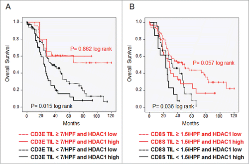 Figure 4. TILs overcome prognostic effect of HDAC1. Kaplan–Meier analysis was performed to investigate the survival effect of HDAC1 in high-grade serous OvCa stage II–IV with. (A) Low and high numbers of intraepithelial CD3+ TILs. (B) Low and high numbers of stromal CD8+ TILs.