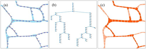 Figure 4. Weighting rules for minimum spanning tree pruning (MSTP) (a) Minimum spanning tree (MST) of the river network superpixels (b) Visualization of nodes and edges of the MST structure (c) Results of MSTP weighting for the river network.