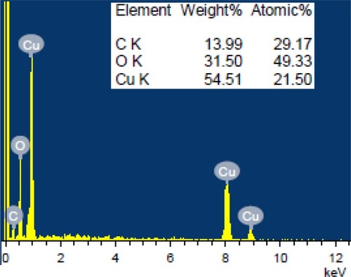 Figure 7 EDS analysis of CuO nanorods.