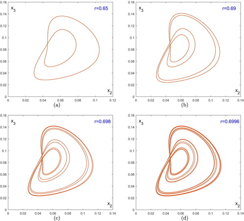 Figure 5. A quasiperiod-doubling cascade begins as r is increased from 0.606. The interior attractor evolves from a quasiperiodic curve to (a) a 2-quasiperiodic curve, then to (b) a 4-quasiperiodic curve, then to (c) a 8-quasiperiodic curve, then to (d) a 16-quasiperiodic curve, and so on.